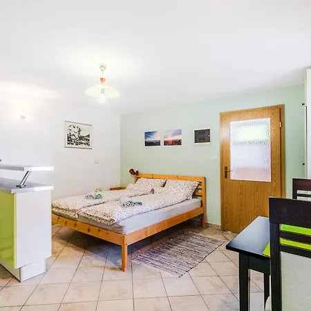 Apartma Vucic Appartamento *