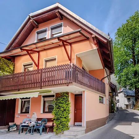 Apartma Vucic Apartman *