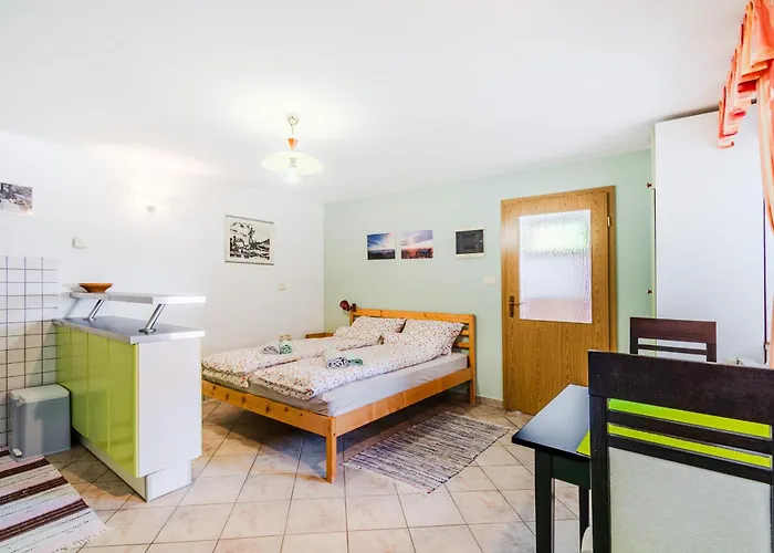 Apartma Vucic Appartamento *